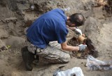 W Nowym Porcie w trakcie prac budowlanych odkryto 14 szkieletów. Trwają badania