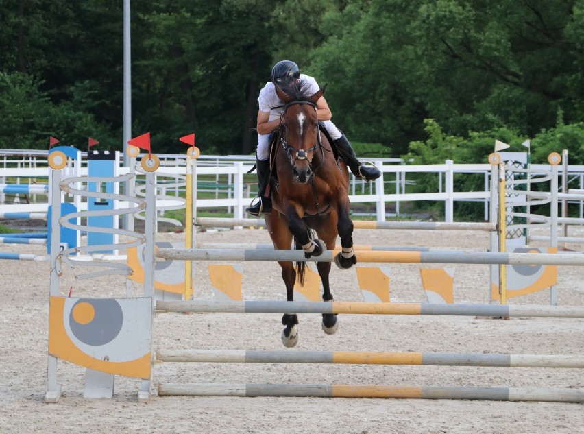 Zawody konne w Zbrosławicach (25.05.2019)