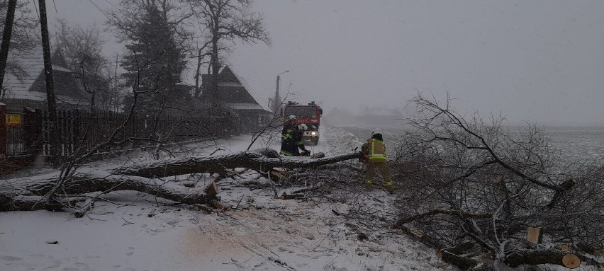 Styczniowa nawałnica miała niszczycielski charakter