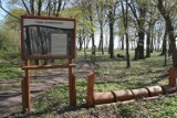 Rekcin: Zrewitalizowany park za 113 tys. zł