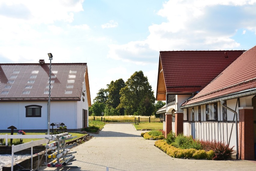 Storczykowe Wzgórze - Agroturystyka na Dolnym Śląsku