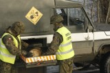 Niewybuch w Polkowicach, ewakuacja setek osób
