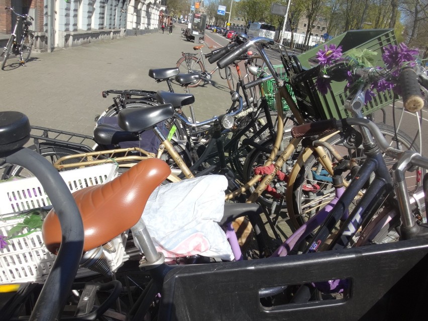 Amsterdam i rowery [zdjęcia]