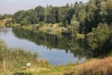 Tak wygląda plaża naturystów na kryspinowskim zalewie [ZDJĘCIA]