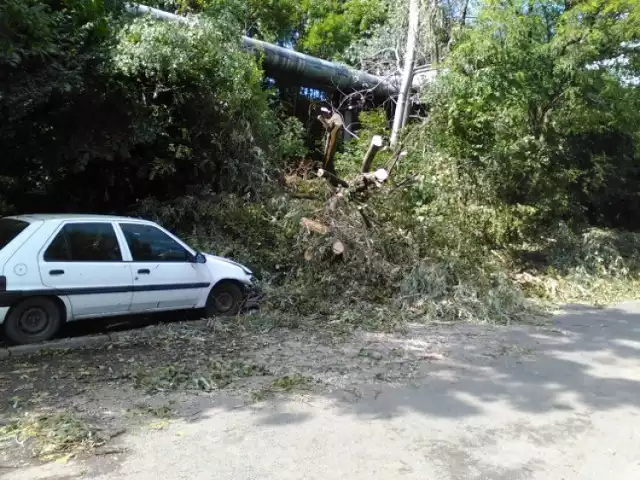 Zniszczenia na ul. Grudzieniec - konary na samochodzie i ulicy, potężne drzewo na ciepłociągu