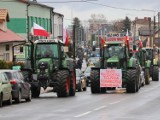 Protest rolników w Radziejowie. Pojechali DK 62 na krzyżówki do Osięcin. Zdjęcia [20.02.2024]