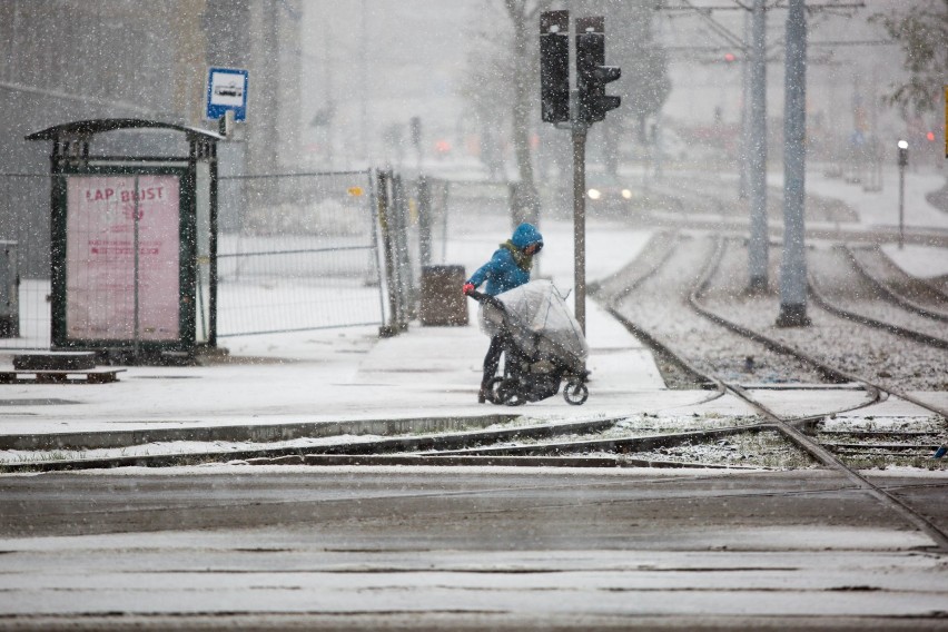 Pierwszy śnieg w Gdańsku