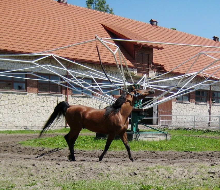 Fot. Jadwiga Kowalczyk