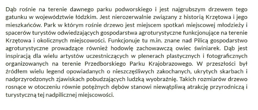 Gmina Wielgomłyny. Dąb w Krzętowie walczy o tytuł Drzewa Roku 2020. Zagłosuj!