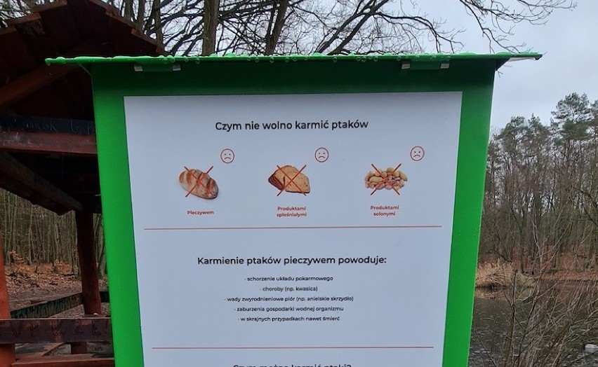 Automaty z mieszanką ziaren dla ptaków stanęły w Szczecinie. Teraz łatwo i bezpiecznie nakarmisz kaczki! 