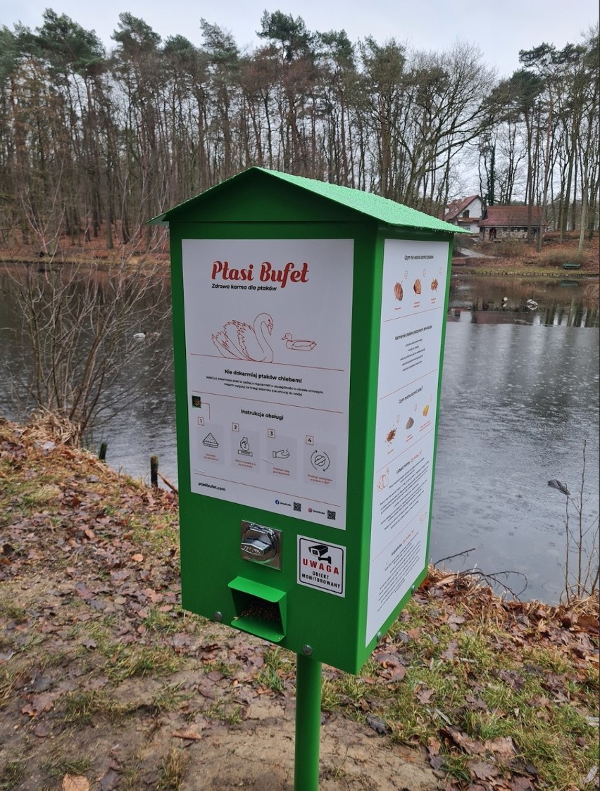 Automaty z mieszanką ziaren dla ptaków stanęły w Szczecinie. Teraz łatwo i bezpiecznie nakarmisz kaczki! 