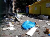 Śmieci aż wysypują się z kontenerów! Problem w centrum Świebodzina