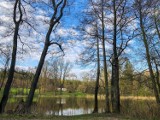 Wiosna w Lipnie i okolicy. Piękne, wiosenne zdjęcia Czytelników 