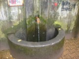 Uwaga na wodę ze źródełka i fontann - ostrzega sanepid