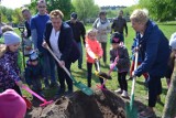 Zasadzili wiśniową aleję z okazji 15. rocznicy wstąpienia Polski do Unii Europejskiej