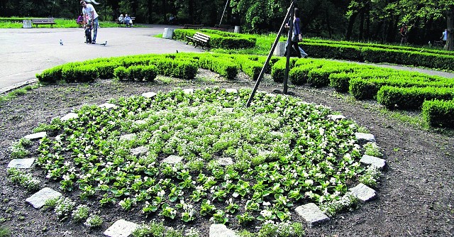 Taki był. Czy i kiedy powróci do dawnej świetności...