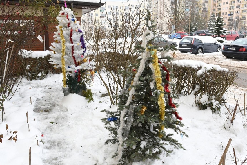 Kielczanin ustawił świąteczne drzewka przed blokiem, a przechodnie robią sobie zdjęcia. "To już tradycja". Zobaczcie 