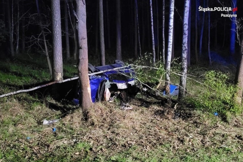 Wypadek w Kobiórze. Dramatyczne zderzenie z łosiem. Młoda kobieta z poważnymi obrażeniami ciała