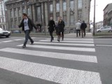Kierowcy powodują większość wypadków na przejściach dla pieszych w Łodzi