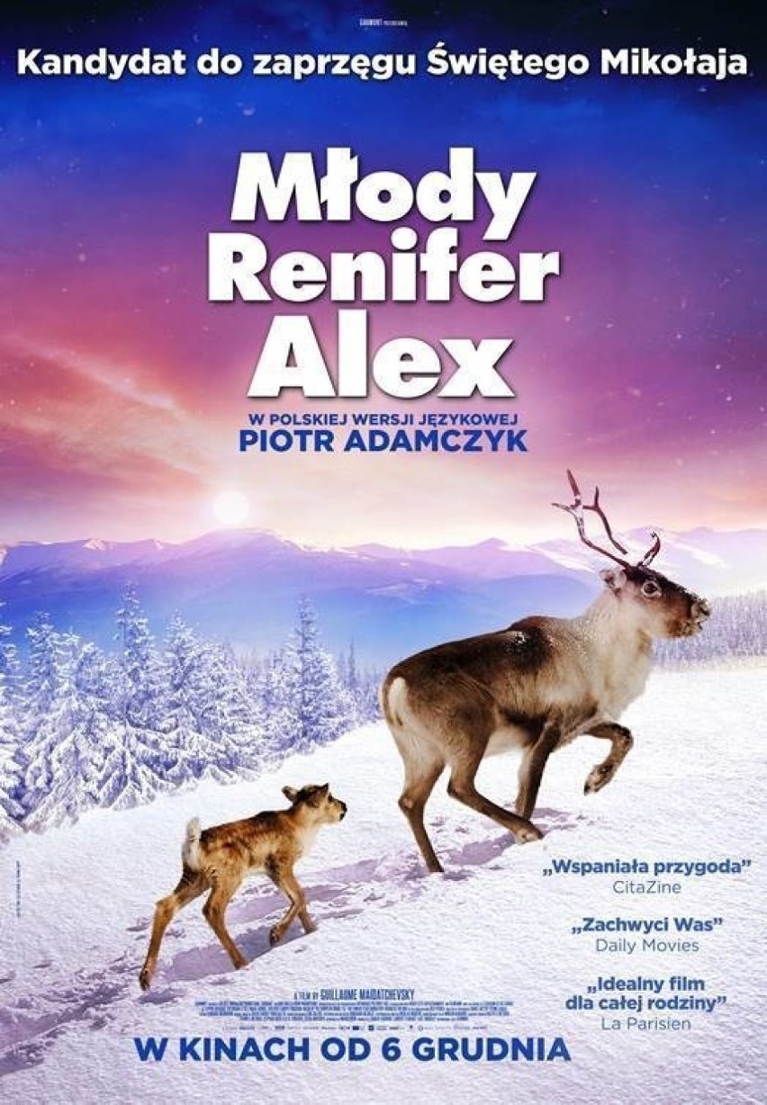 6 grudnia - Mikołajki w kinie -  „Młody renifer Alex” w...