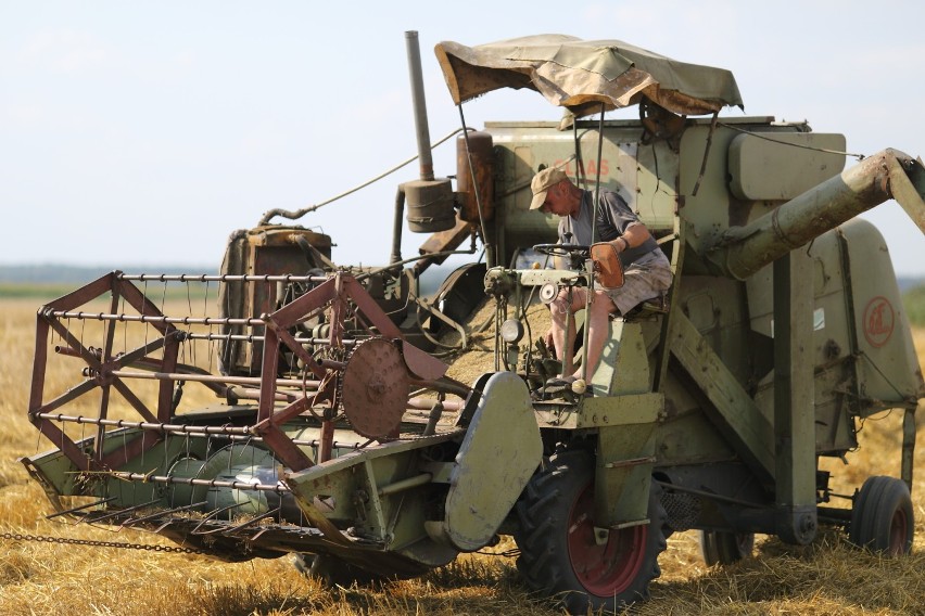 Retro kombajn z duszą mercedesa. Taką maszynę można zobaczyć tylko w Skomlinie[ZDJĘCIA]