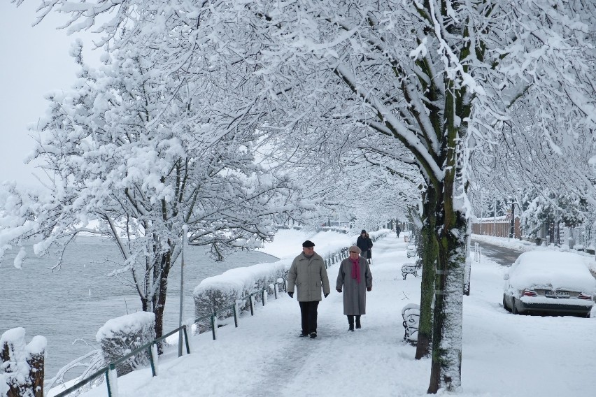 Niedzielny spacer po zaśnieżonym Przemyślu.

Zobacz także:...