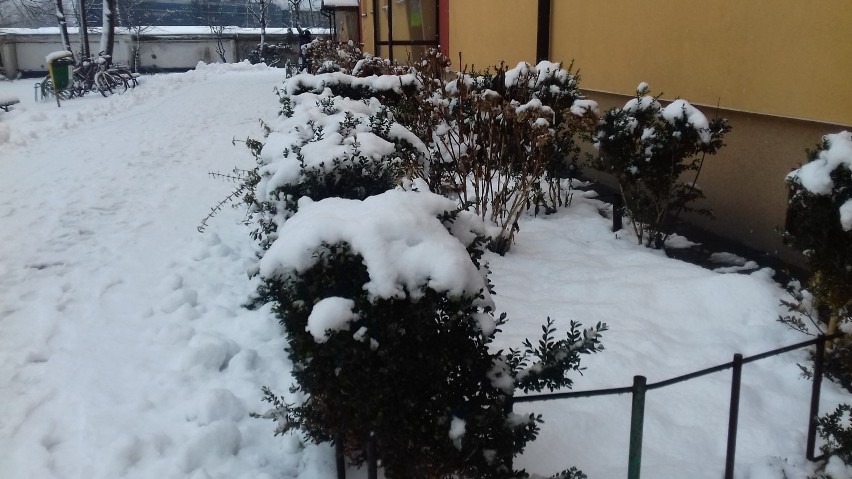 Uroki zimy w Oświęcimu. Miasto wygląda jak na biało-czarnych zdjęciach