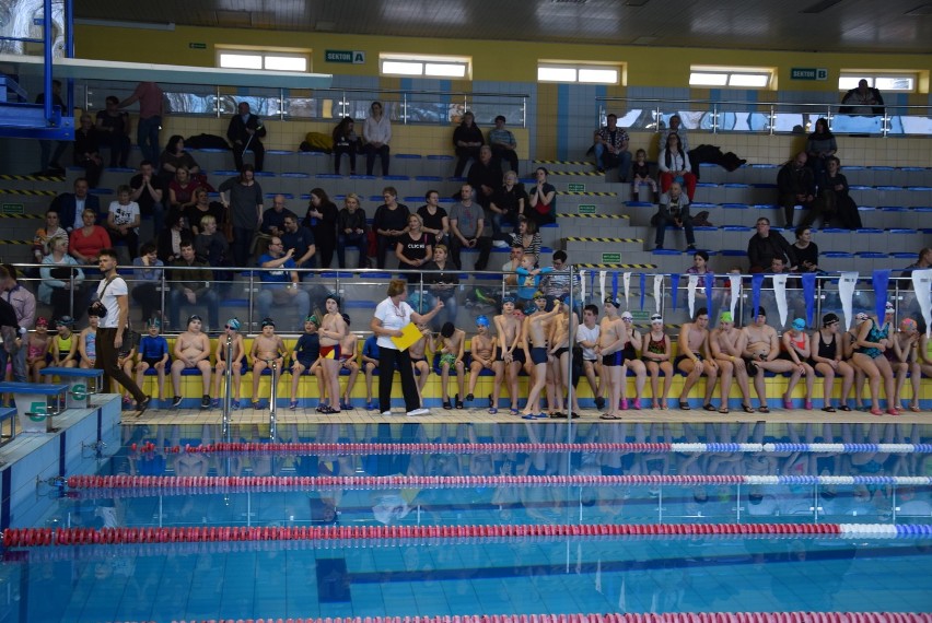  Integracyjne zawody "Pływanie na start" w Białymstoku wraz z kandydatkami Miss Studentek 2019 [zdjęcia]