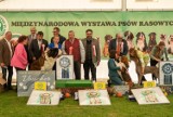 II Międzynarodowa Wystawa Psów Rasowych w Przemyślu. Zdjęcia organizatora [GALERIA]