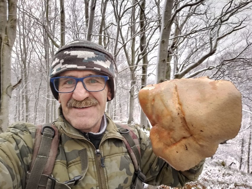 W Bieszczadach spadł śnieg, ale to nie przeszkadza w grzybobraniu (ZDJĘCIA)