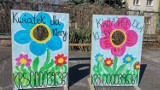 "Kwiatek dla Klary" pierwszego dnia wiosny. Przedszkolaki z Zielonej Góry zorganizowały wielki kiermasz