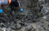 Odnaleziono ludzkie szczątki podczas rozbiórki budynku. Sprawą zajmuje się prokuratura