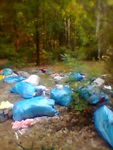 Miastkówek: Wysypisko w lesie. Wiadomo do kogo należą śmieci