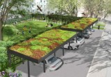 Koniec z betonozą w Kędzierzynie-Koźlu? Miasto buduje "zielone podwórka". Auta zaparkują pod trawą. Zobacz wizualizacje i zdjęcia z budowy