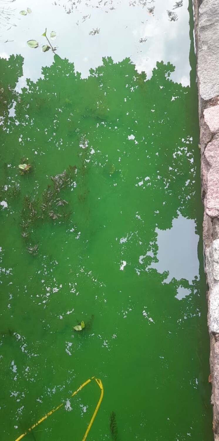 Zielona ciecz w Strudze Goleniowskiej to efekt awarii. Środek "nie jest szkodliwy dla środowiska"