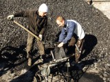 Nowy Sącz: Gdzie tanio kupić węgiel [RAPORT]