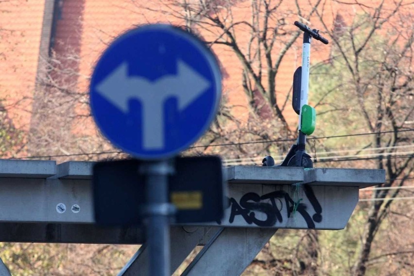 Wrocław: Gdzie zaparkować hulajnogę? Wszędzie!
