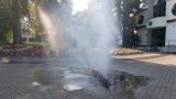 Wolsztyn: w mieście walczą z upałami. W Wolsztynie w kilku miejscach pojawiły się zraszacze wodne 