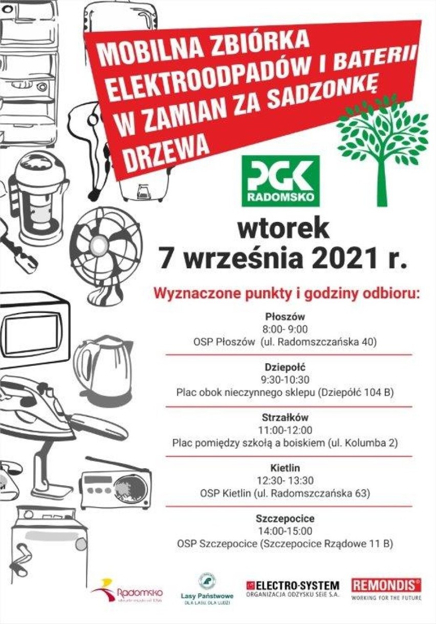 Oddaj elektroodpady, odbierz sadzonkę! PGK Radomsko ogłasza zbiórkę elektrośmieci. Gdzie i kiedy?