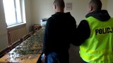 Policja z Rogoźna zatrzymała hodowce marihuany