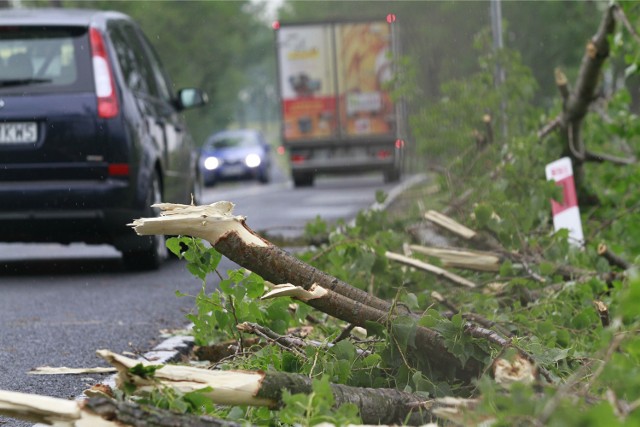 W Małopolsce uszkodzonych zostało 12 budynków. Strażacy interweniowali także przy usuwaniu zwalonych drzew i połamanych gałęzi.