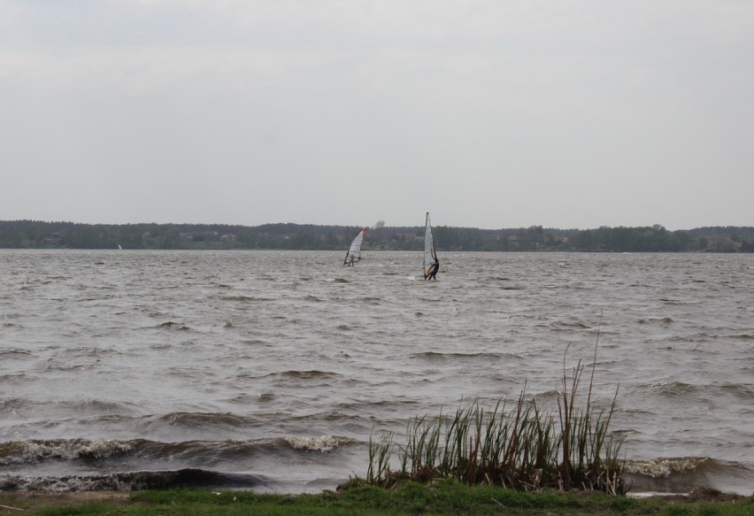 Windsurfing. Amatorzy sportów wodnych, jezioro Błędno w Zbąszyniu, deski i sprzyjające wiatry