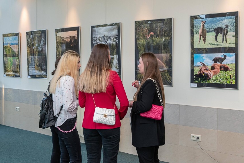 Fotoklub RCKP w Krośnie świętuje 20-lecie działalności jubileuszową wystawą. Te zdjęcia zachwycają!
