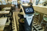 Robot – kelner w Warszawie, Poznaniu i we Wrocławiu. Zobacz, jak wygląda przyszłość gastronomii 