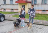 Młodzieżowa Rada Miasta Zawiercie pomaga w opiece nad zwierzętami z Ukrainy. Wciąż przybywają kolejne