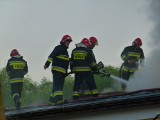 Pracowite lato straży pożarnej w Kutnie