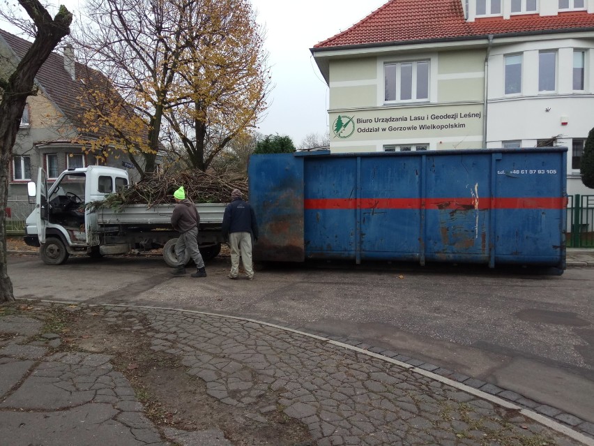 Narzekasz na bałagan na osiedlowym skwerze albo zaniedbany...