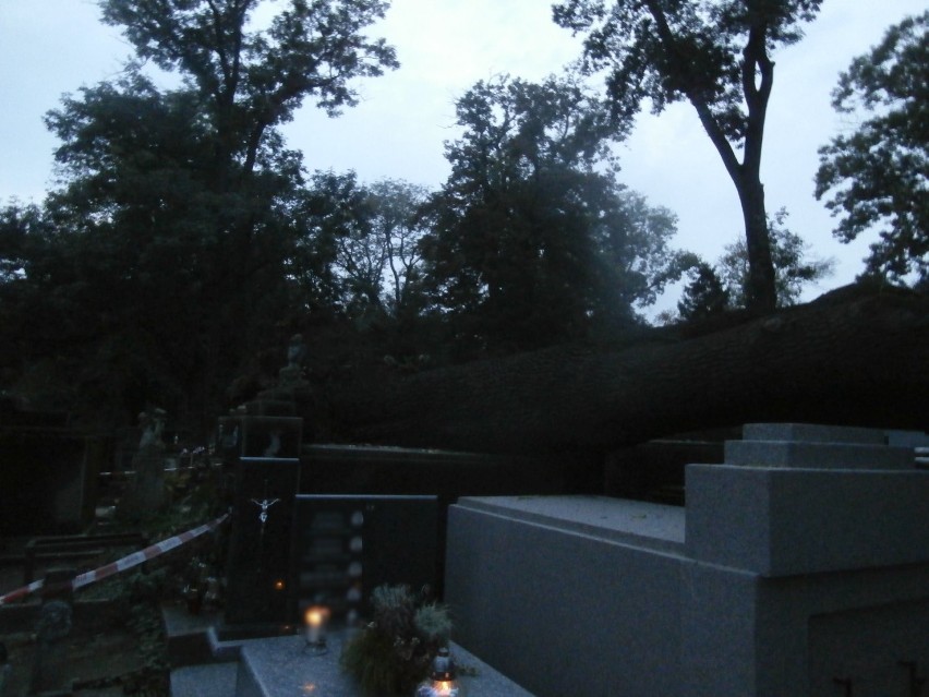 Na Starym Cmentarzu w Jarosławiu spadło drzewo i zniszczyło nagrobki [ZDJĘCIA]