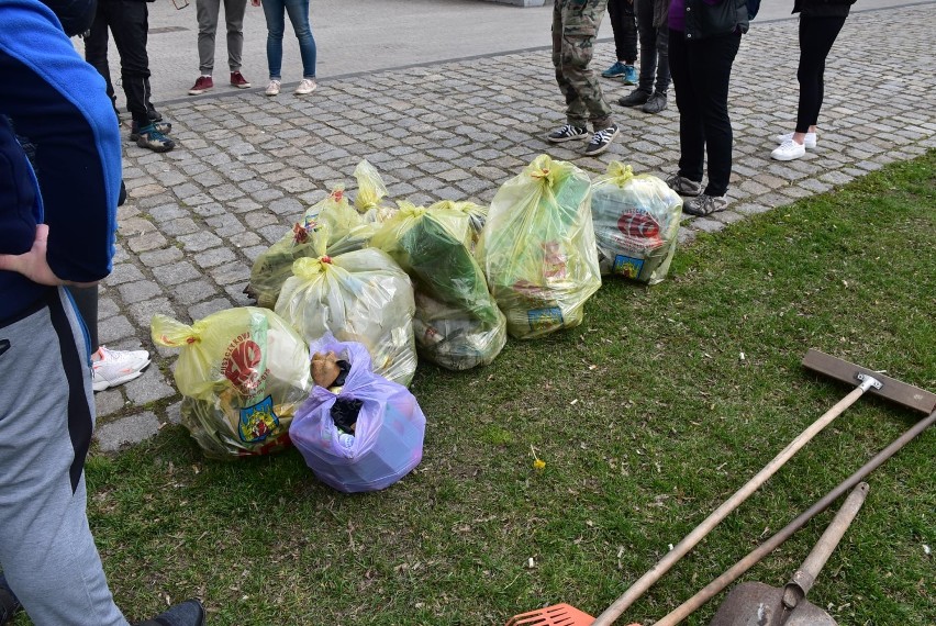 Akcja sprzątania w Grodzisku Wielkopolskim. Zebrano 20 worków pełnych śmieci