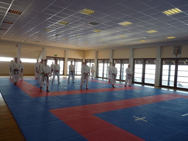 Karate jest bardzo popularnym sportem